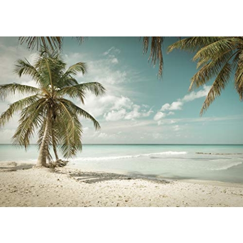 Forwall - Vlies Fototapete Strand Meer Sand Palmen Tropen Natur Landschaft 416x290 cm - Fototapeten - Tapeten - für Wohnzimmer Schlafzimmer - Vliestapete Wandtapete Tapete 3D Effekt- inkl. Kleister