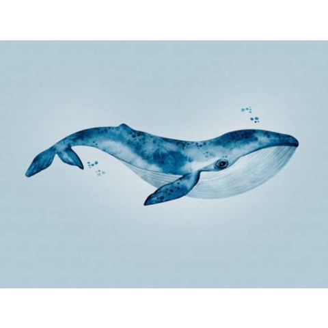 Livingwalls Fototapete Wal Kindertapete Unterwasser Blau 383001 The Wall 3,71 m x 2,80 m Babyzimmer Jungen Mädchen Fische