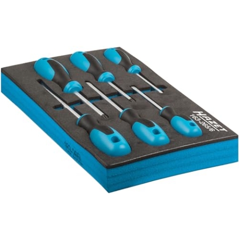 HAZET Schraubendreher Satz 163-265/6 I 6-teiliger Satz I Abtrieb: Kreuzschlitz- und Schlitzprofil I Zum lösen oder festziehen von Schrauben