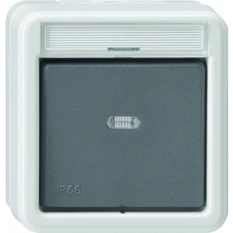Gira 010231 Wippschalter Aus 2 pol WD Aufputz, grau