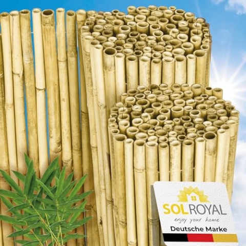 Sol Royal Hell Glänzend Premium Bambus Sichtschutz 80 hoch – Hochwertig Bambusrohre Ø2-3cm Witterungsbeständig – Bambuszaun Gartensichtschutz Balkon Sichtschutz Bambus Sichtschutzzaun 80x250cm – B99