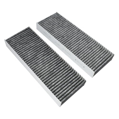 AllSpares Aktivkohlefilter (2 St.) BAKFS für Bora Basic, BHU, BIU, BFIU, GP4 | 338x123x42 mm