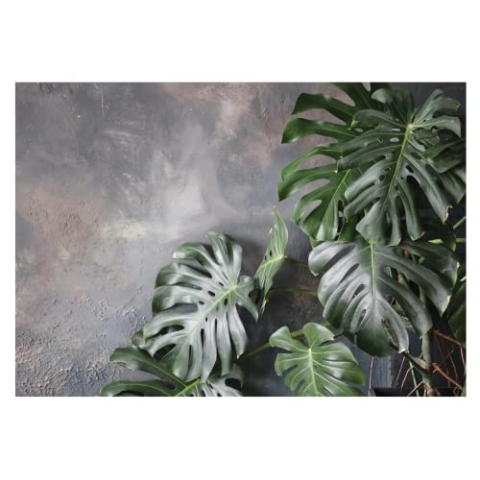 Fototapete Blätter Monstera Pflanzen 3D Grün Vintage Betonoptik - inkl. Kleister - für Wohnzimmer Schlafzimmer Flur Vlies Tapete Vliestapete Wandtapete Motivtapeten Montagefertig (368x254 cm)