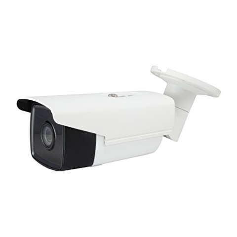 LevelOne fcs-5092 IP Security Camera Innen und Außen Ball Weiß – -Überwachungskamera (IP Security Camera, innen und außen, Ball, Weiß, Decken/Wandtattoo, IP67)