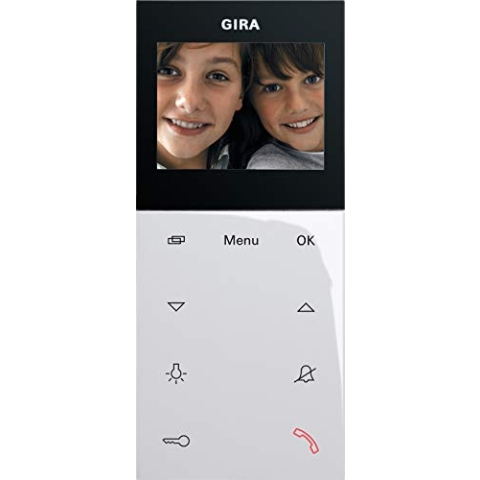 Gira Wohnungsstation Video AP 123903