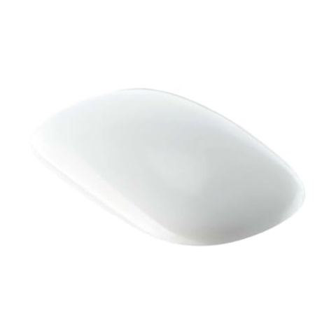 Geberit Citterio WC Sitz 500540011, mit Absenkautomatik, weiß - 500.540.01.1
