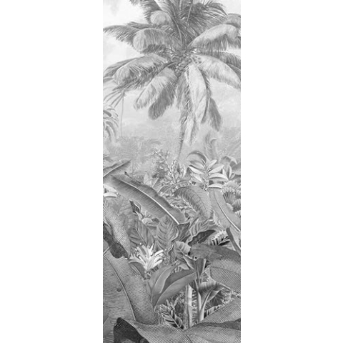 Komar Vlies Fototapete - Amazonia Black and White Panel - Größe 100 x 250 cm (Breite x Höhe) - Dschungel Amazonas Regenwald Wand Tapete Wohnzimmer Schlafzimmer