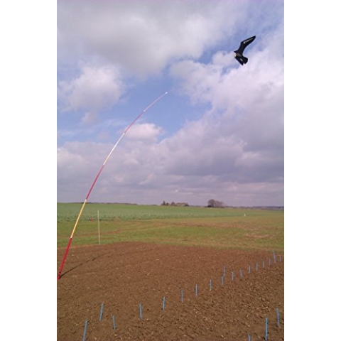 VOGELSCHEUCHE PROFESSIONELLE QUALITÄT 6 METER