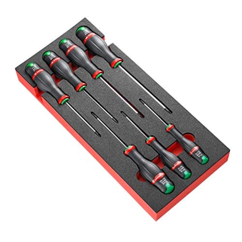 Modul 7 Protwist Schraubendreher in Schaumstoffschale