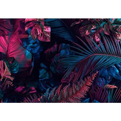 WallArena - Vlies Fototapete Tropische Blätter Dschungel Pflanzen 416x290 cm - Fototapeten - Tapeten - für Wohnzimmer Schlafzimmer - Vliestapete Wandtapete Tapete 3D Effekt- inkl. Kleister