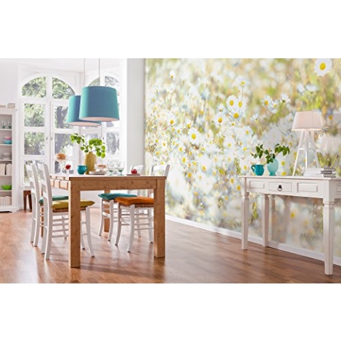 Komar Fototapete DAISIES | 368 x 254 cm | Tapete, Wand Dekoration, Blume, Blüten, Margeriten, Natur, Wiese, Schlafzimmer, Wohnzimmer | 8-994