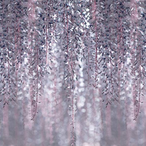 Forwall Fototapete Vlies Tapete Wanddeko Blumen Flieder - Wisteria Blauregen Blau Moderne Wanddekoration 13520VEXXXL 416cm x 254cm Schlafzimmer Wohnzimmer