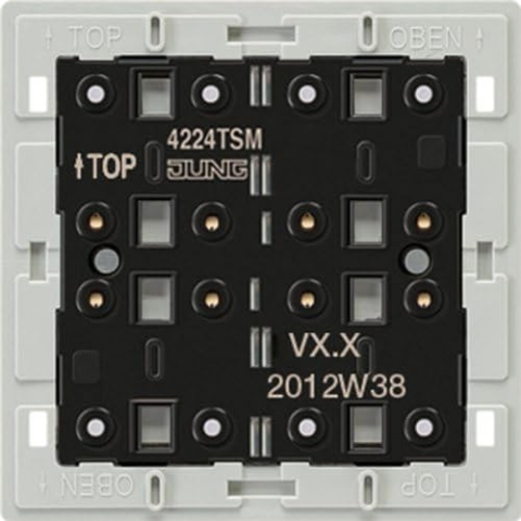 Tastsensor-Modul 2-fach 24V AC/DC 20mA 4224 TSM 4011377036819 Jung