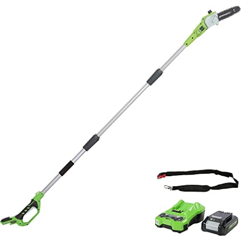 Greenworks G24PS20K2 Akku Hochentaster,20 cm Blattlänge, 6,7 m/s Kettengeschwindigkeit, 3,2 kg, automatisches Öl-System, 50 ml Öltank, 2,6m Stangenreichweite,24V 2Ah Akku & Ladegerät, 3 Jahre Garantie