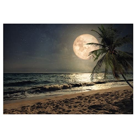 WallArena - Vlies Fototapete Strand Meer Palmen Karibik Ozean Wallen Mond 254x184 cm - Fototapeten - Tapeten - für Wohnzimmer Schlafzimmer - Vliestapete Wandtapete Tapete 3D Effekt- inkl. Kleister