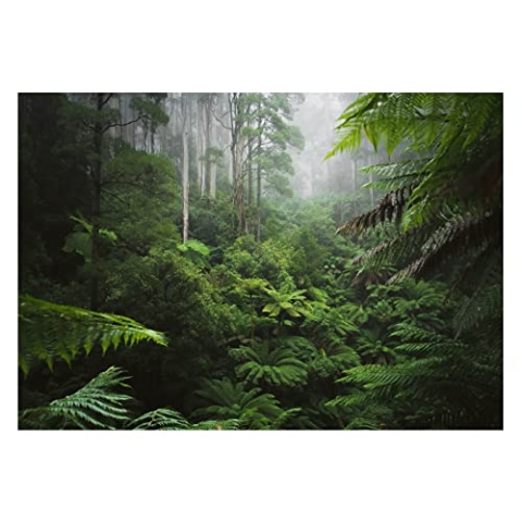 WallArena - Vlies Fototapete Wald Regenwald Dschungel Natur Blätter 416x254 cm - Fototapeten - Tapeten - für Wohnzimmer Schlafzimmer - Vliestapete Wandtapete Tapete 3D Effekt- inkl. Kleister