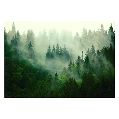 WallArena - Vlies Fototapete Wald im Nebel Bäume Panorama Natur 312x219 cm - Fototapeten - Tapeten - für Wohnzimmer Schlafzimmer - Vliestapete Wandtapete Tapete 3D Effekt- inkl. Kleister