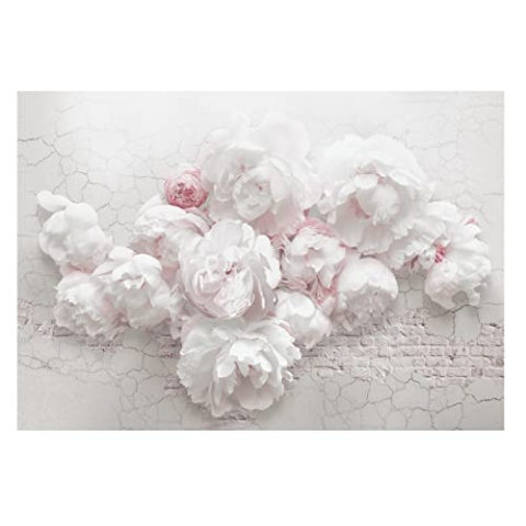 WallArena - Vlies Fototapete Blumen Betonoptik Pfingstrosen 368x254 cm - Fototapeten - Tapeten - für Wohnzimmer Schlafzimmer - Vliestapete Wandtapete Tapete 3D Effekt- inkl. Kleister