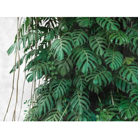 Livingwalls Vliestapete - Tapete Dschungel Palmenblätter in Grün und Grau - Wandtapete für verschiedene Räume - Wandbild XXL 3,71 m x 2,80 m
