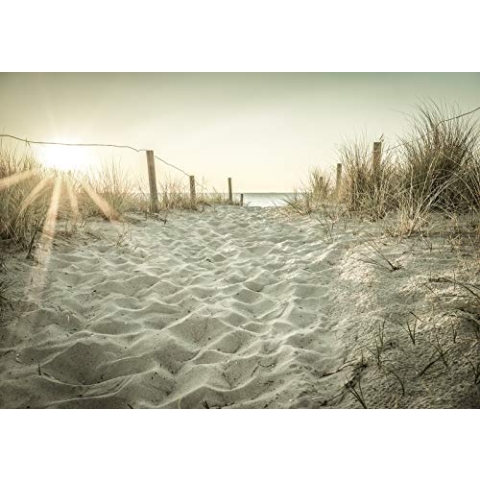 Forwall - Vlies Fototapete Nordsee Strand Meer Natur Dünen Sonne Landschaft 254x184 cm - Fototapeten - Tapeten - für Wohnzimmer Schlafzimmer - Vliestapete Wandtapete Tapete 3D Effekt- inkl. Kleister