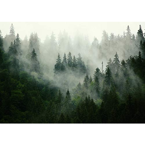 Forwall - Vlies Fototapete Wald Nebel Natur Bäume Landschaft Skandinavisch 416x254 cm - Fototapeten - Tapeten - für Wohnzimmer Schlafzimmer - Vliestapete Wandtapete Tapete 3D Effekt- inkl. Kleister