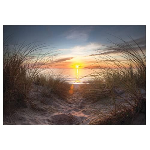 WallArena - Vlies Fototapete Strand 3D Meer Ostsee Natur Sonnenuntergang Gras 416x254 cm - Fototapeten - Tapeten - für Wohnzimmer Schlafzimmer - Vliestapete Wandtapete Tapete 3D Effekt- inkl. Kleister