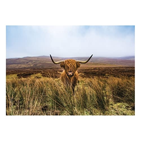 WallArena Fototapete Büffel Bison Tiere Landschaft Modern Wohnzimmer Schlafzimmer Wandtapete Vlies Tapete UV-Beständig Montagefertig (368x254 cm - 4 Bahnen)