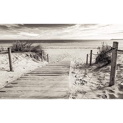 Forwall Fototapete Strand Meer Ostsee Natur Dünen Schwarz Weiß Wohnzimmer Schlafzimmer Vlies Tapete Wandtapete UV-Beständig Montagefertig (2024, V8 (368x254 cm) 4 Bahnen)