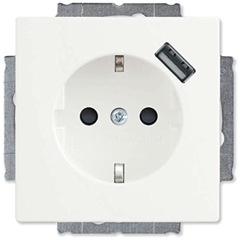 Busch-Jaeger 20EUCBUSB-84 BUSC 20 EUCBUSB-84 Schuko USB-Steckdose Future Linear