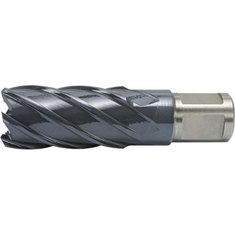 Alfra 1902036050 Kernbohrer 36/50mm aus Hss-Co Rqx-STAHL