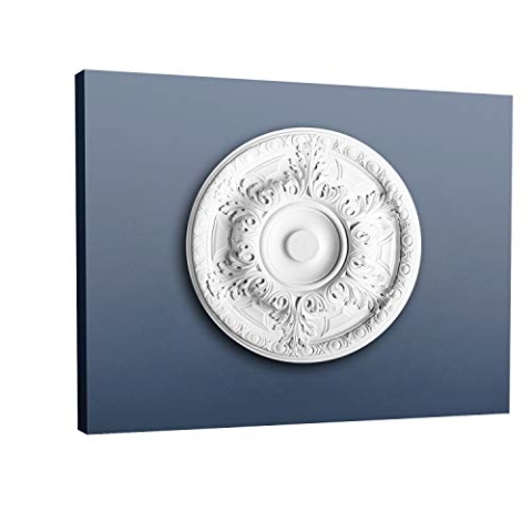 Mittelgroße Rosette mit Blättern und Blüten R18
