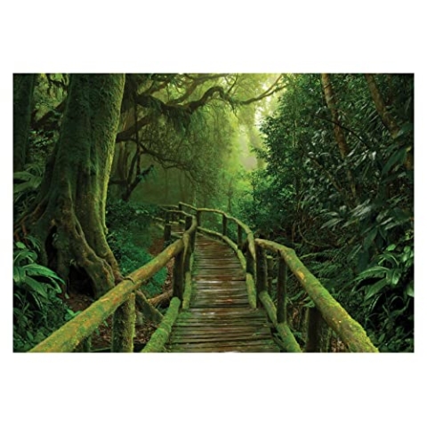 Fototapete Wald 3D Effekt Waldweg Brücke Bäume Dschungel Pflanzen - inkl. Kleister - für Wohnzimmer Schlafzimmer Flur Vlies Tapete Vliestapete Wandtapete Motivtapeten Montagefertig (368x254 cm)