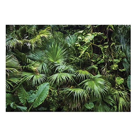 WallArena - Vlies Fototapete Wald Tropical Dschungel Grün Natur Pflanzen Blätter 520x318 cm - Fototapeten - Tapeten für Wohnzimmer Schlafzimmer Vliestapete Wandtapete Tapete 3D Effekt- inkl. Kleister