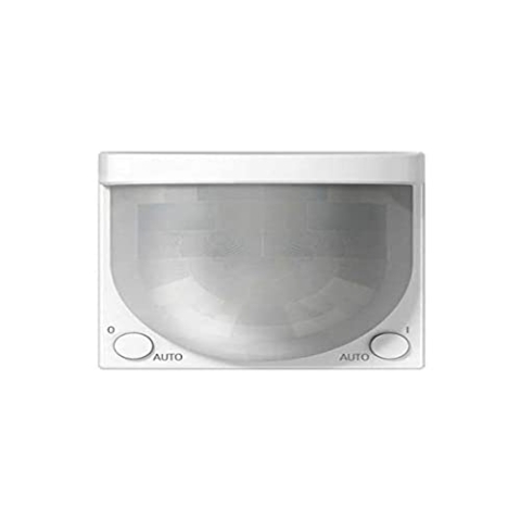 Jung Blanco alpino (White) A 17281 WW Detektor