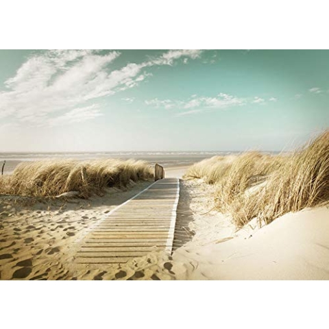 Forwall - Vlies Fototapete Strand Meer Ostsee Natur Dünen Landschaft 312x219 cm - Fototapeten - Tapeten - für Wohnzimmer Schlafzimmer - Vliestapete Wandtapete Tapete 3D Effekt- inkl. Kleister