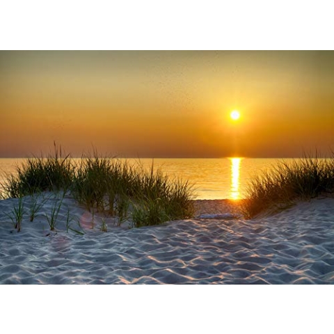 Forwall - Vlies Fototapete Sonnenuntergang Strand Meer Nordsee Natur Dünen 254x184 cm - Fototapeten - Tapeten - für Wohnzimmer Schlafzimmer - Vliestapete Wandtapete Tapete 3D Effekt- inkl. Kleister