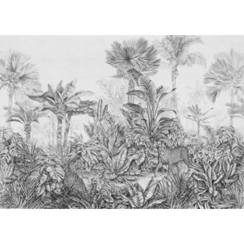 Komar Vlies Fototapete - Léopards - Größe: 350 x 250 cm (Breite x Höhe) - Tapete, s/w, Design, Wohnzimmer, Wanddekoration, Schlafzimmer, Regenwald, Palmen - LJX7-041