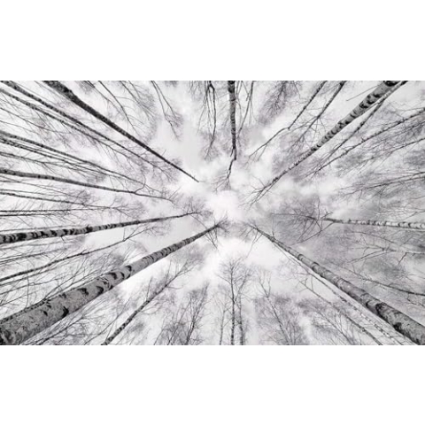 Komar Vlies Fototapete WEISS-BLAU | Tapete, XXL, Dekoration, Natur, Landschaft, Schlafzimmer, Wohnzimmer, Büro, Flur | Größe 450 x 280 cm (Breite x Höhe) | SHX9-093