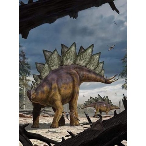 Komar Dino Vlies Fototapete - Stegosaurus - Größe: 184 x 248 cm (Breite x Höhe) - Dinosaurier, Dino, Jurrasic, Kinderzimmer, Tapete - XXL2-530 Bunt