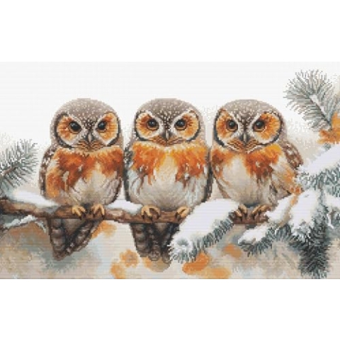 Luca-S Kreuzstich-Set Eulen in der Stille des Winters, BU5077 Kreuzstich-Set nach Zählmuster für Erwachsene, Handarbeits- und Stickset