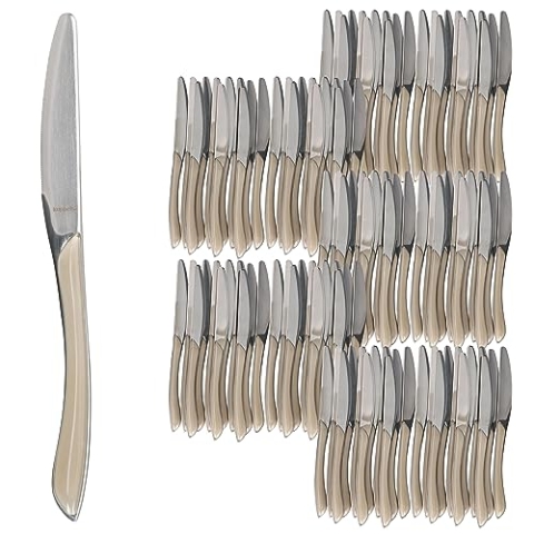 Ritzenhoff & Breker Beauty 120er Set Menümesser Taupe I Besteck für 120 Personen I aus rostfreiem poliertem Edelstahl & Kunststoff I für Frühstück, Mittag, Kaffee & Abendbrot I Hotel, Gastro