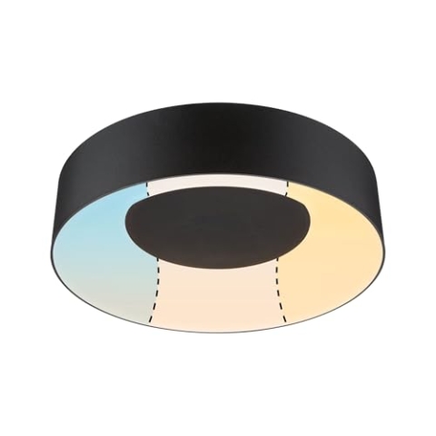 Paulmann 71096 LED Deckenleuchte Casca IP44 White Switch 2300lm 230V 18W Schwarz rund dimmbar Metall, Kunststoff 3000 K