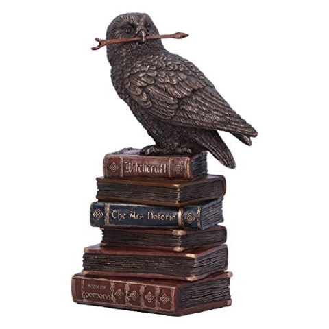 Nemesis Now Bronze Spellcraft Hexen vertraute Eule auf Buch Figur, Harz, 14 cm