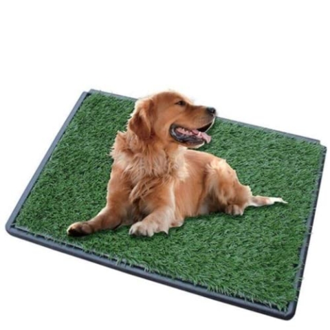 Gtrise Hundetoilette - 2 Matten – Hundeklo - Draußen/Drinnen – Töpfchentraining Ebook – Hundeklo Für Zuhause