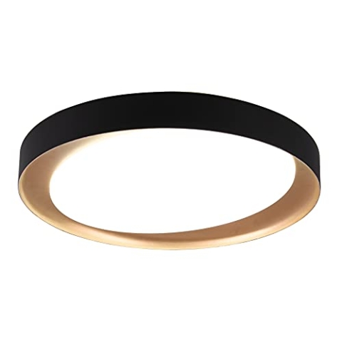 Reality Leuchten LED Deckenleuchte Zeta R62712402, Kunststoff schwarz oder goldfarbig, inkl. 24 Watt LED, Fernbedienung