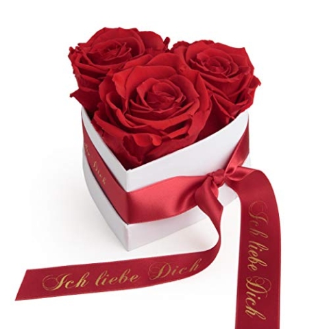 Infinity Rosen Rosenbox Herz - 3 konservierte rote Rosen haltbar 3 Jahre 10x12cm- Valentinstag für Sie Geschenk Ich Liebe Dich - Rosemarie Schulz Heidelberg (Rot, Small)