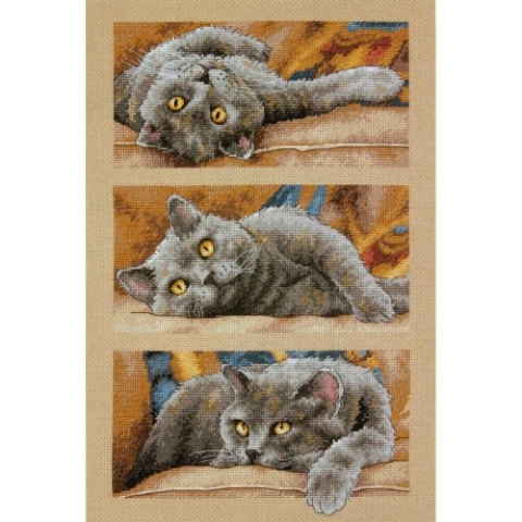 Dimensions Gezählter Kreuzstick Set, Max The Cat, 1.45 x 23.52 x 32.74 cm