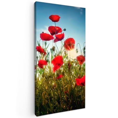 MuchoWow Leinwand Bilder, Einzigartige Wanddeko mit Rahmen, Mohnblumen - Toskana - Sonne - Rot - Blau, Wandbilder Wohnzimmer, Deko Schlafzimmer 40x80 cm