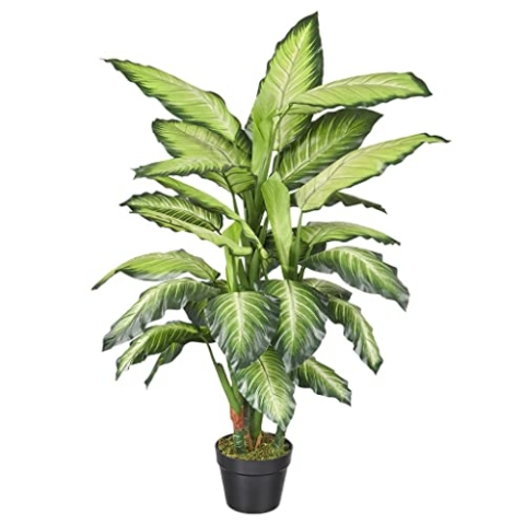 HTT Decorations - Künstliche Dieffenbachia - Hochwertige Kunstpflanzen - 120 cm hoch, Untertopf mit 16 cm Durchmesser