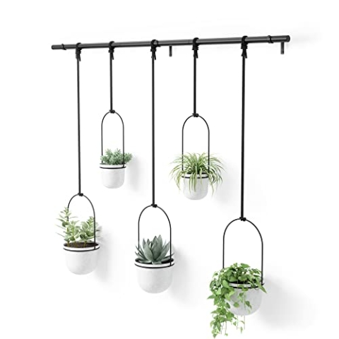 Umbra Triflora Vase, Hängeblumentopf, Wandvase, Blumenampel für Wand- und Deckenanbringung, 5er-Set, Weiss, 5 Töpfe